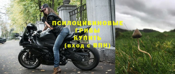 соль ск Алзамай